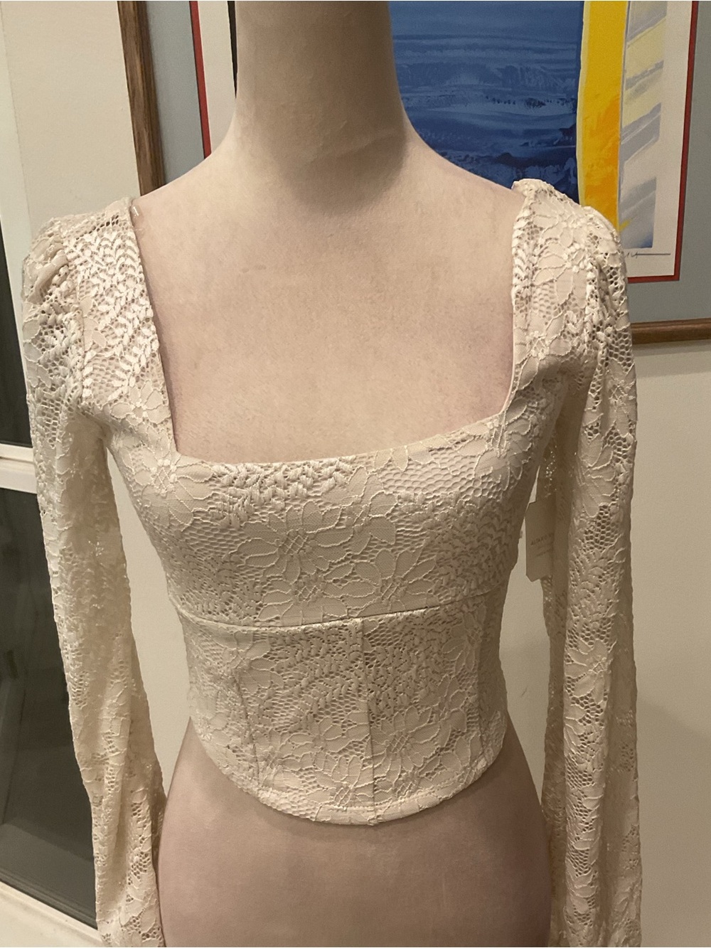 Altar'd State Cream Lace Square-Neck Long Sleeve Crop Top